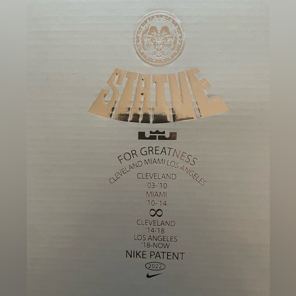 **LIKE NEW** Youth 6Y Lebron XX “Young Heirs” shoes - Picture 9 of 13